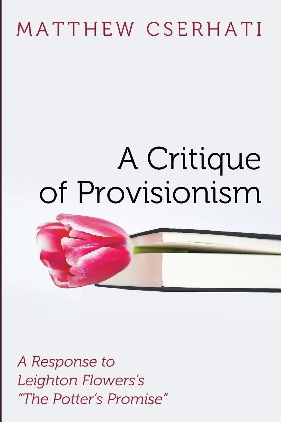 Cover: 9798385214860 | A Critique of Provisionism | Matthew Cserhati | Taschenbuch | Englisch