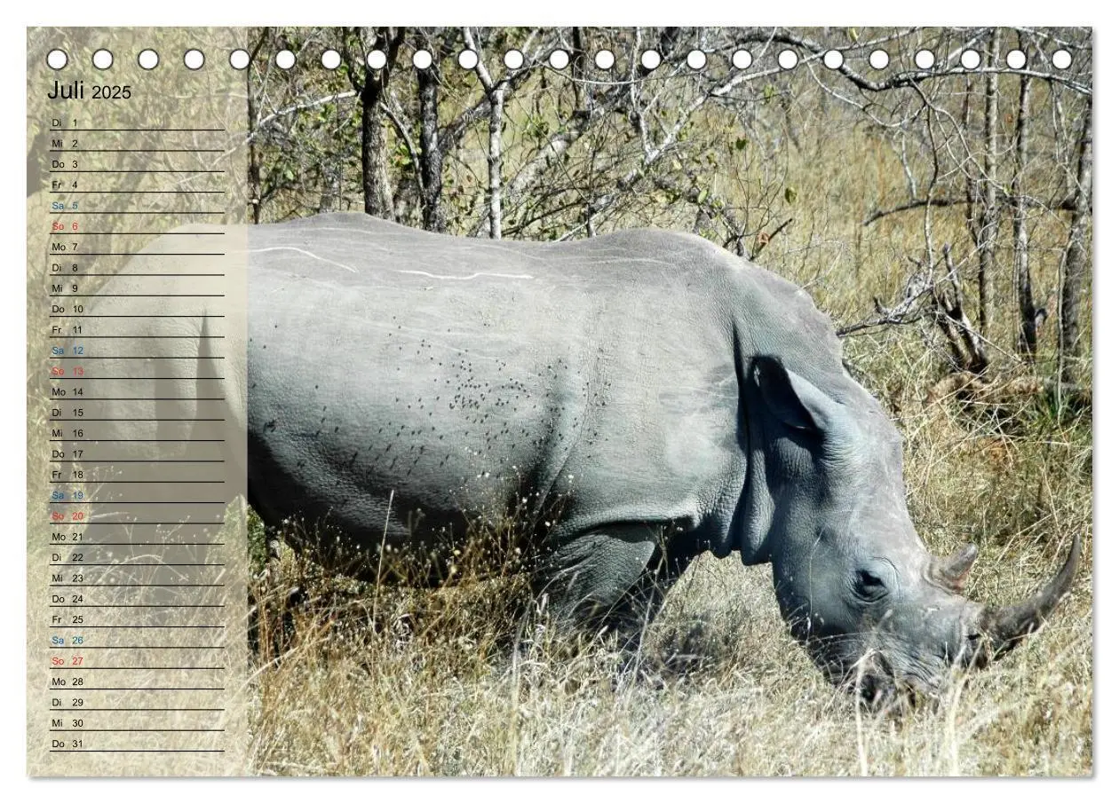 Bild: 9783435514960 | Süd Afrika - vom Krüger Nationalpark bis nach Kapstadt...