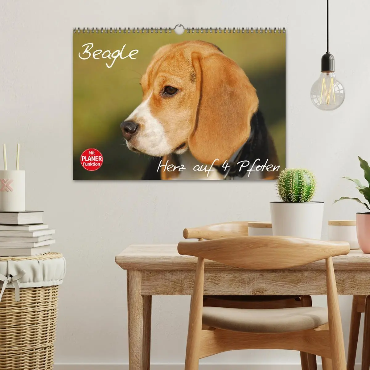 Bild: 9783516004960 | Beagle - Herz auf 4 Pfoten (Wandkalender 2026 DIN A3 quer),...