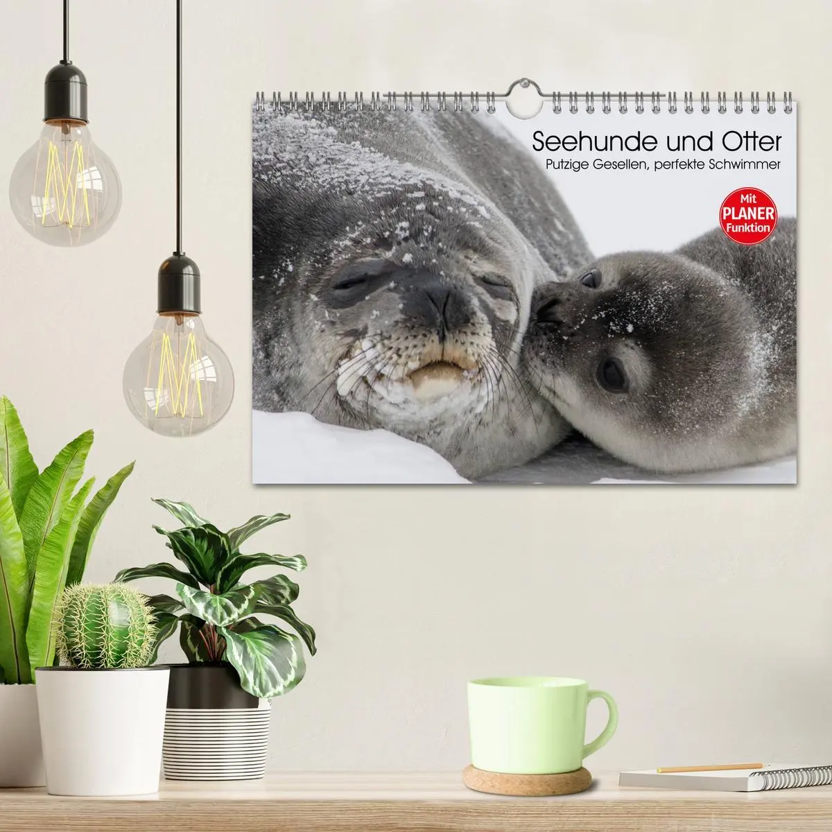 Bild: 9783457975060 | Seehunde und Otter. Putzige Gesellen, perfekte Schwimmer...
