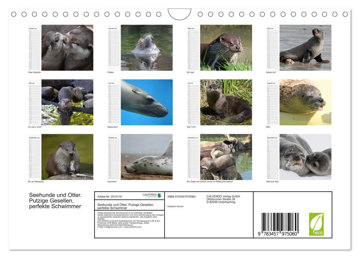 Bild: 9783457975060 | Seehunde und Otter. Putzige Gesellen, perfekte Schwimmer...