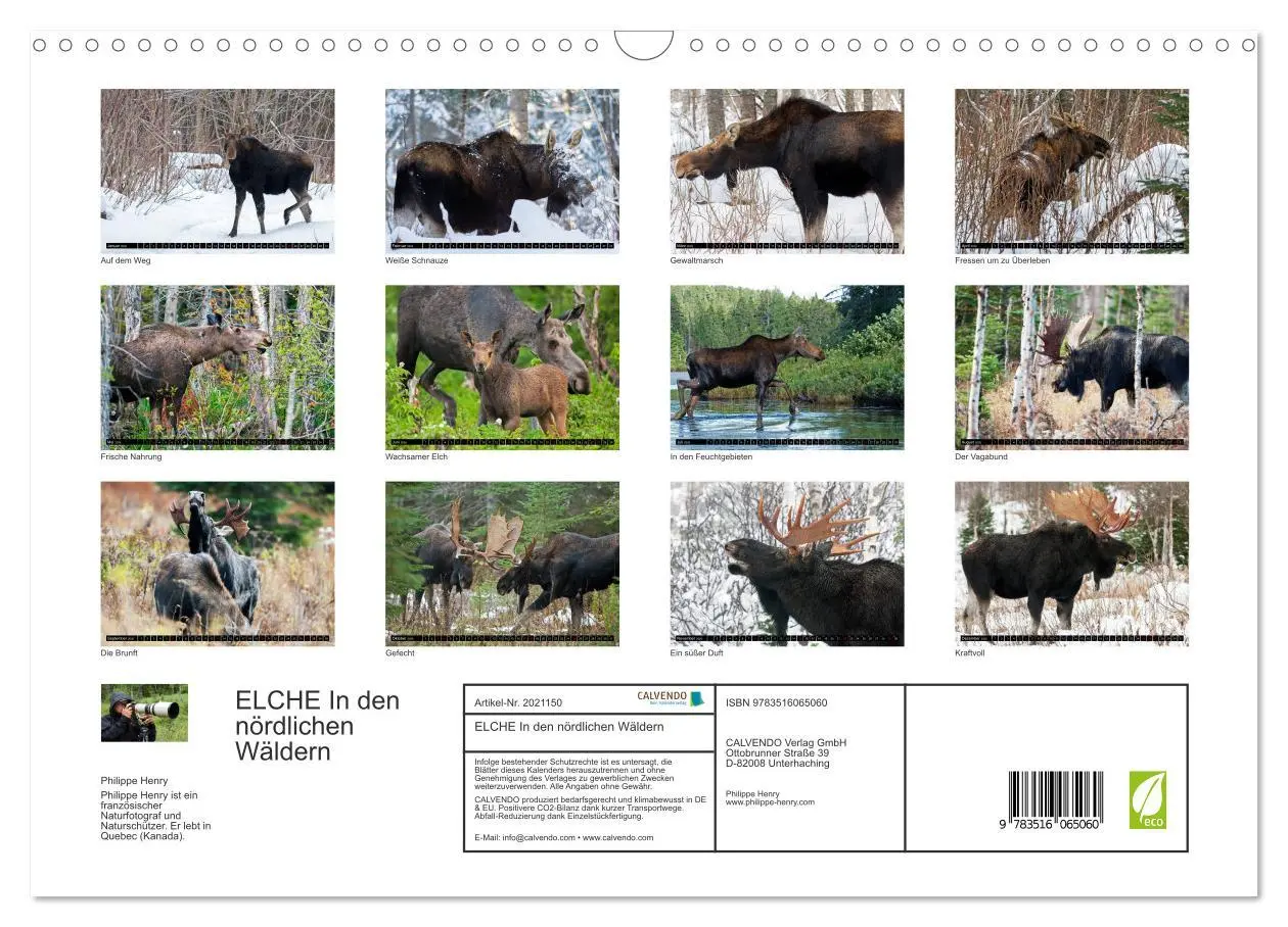 Bild: 9783516065060 | ELCHE In den nördlichen Wäldern (Wandkalender 2026 DIN A3 quer),...