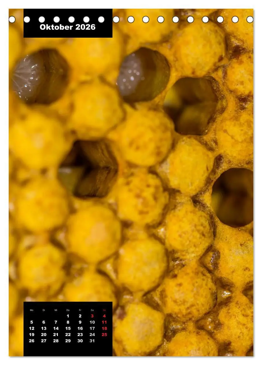 Bild: 9783516445060 | Bienen in ihrem geheimen Reich (Tischkalender 2026 DIN A5 hoch),...