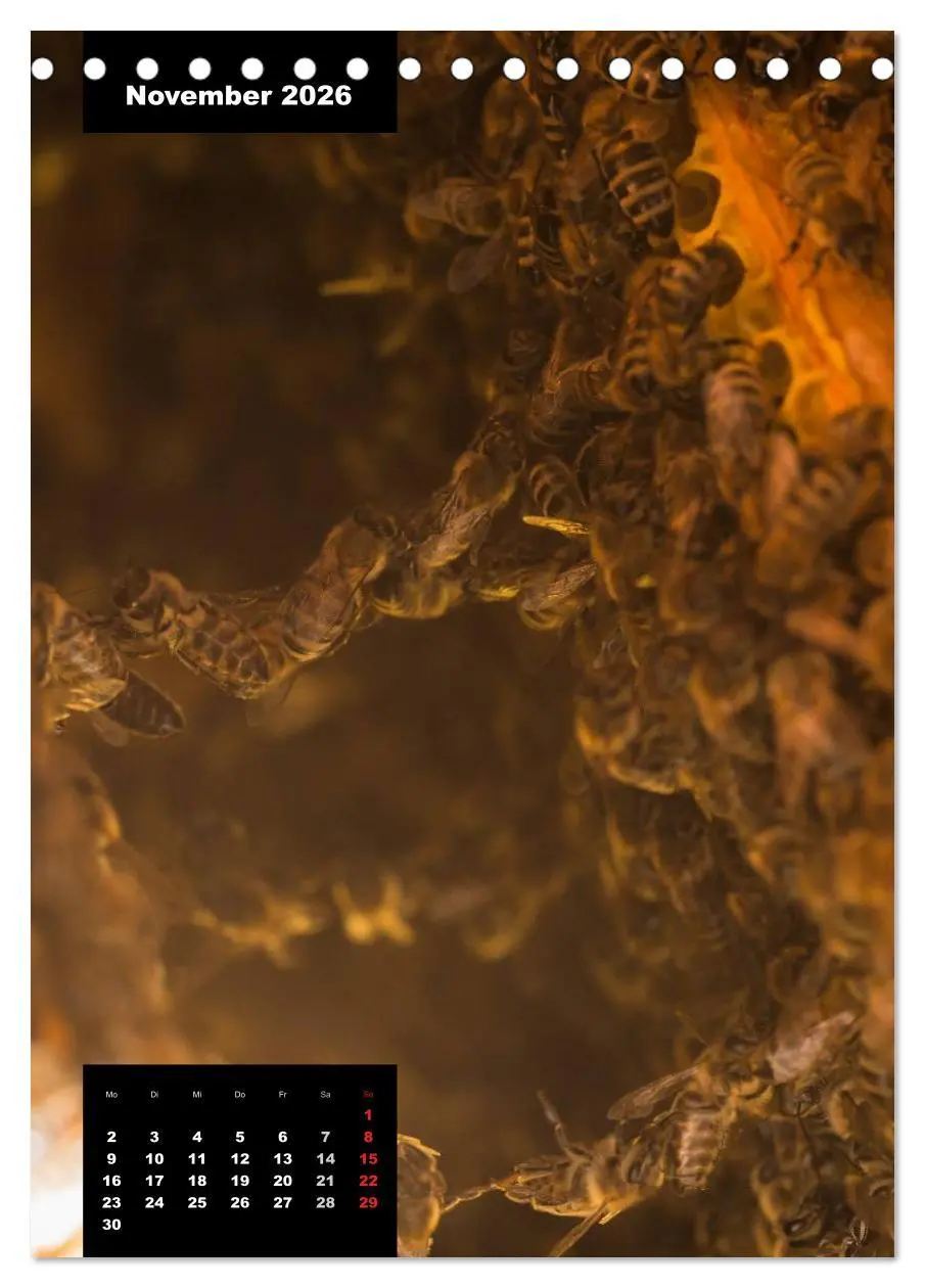 Bild: 9783516445060 | Bienen in ihrem geheimen Reich (Tischkalender 2026 DIN A5 hoch),...