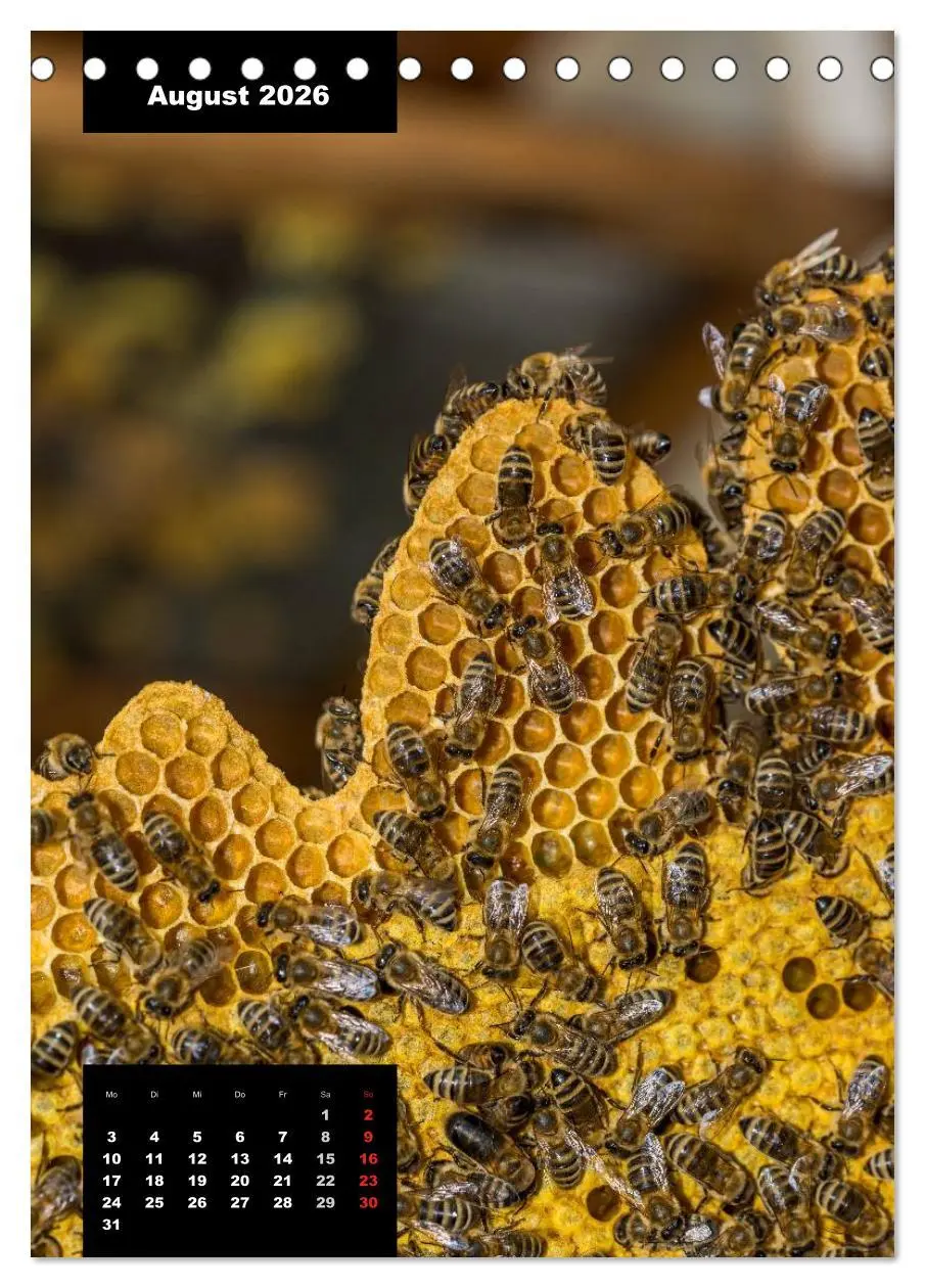 Bild: 9783516445060 | Bienen in ihrem geheimen Reich (Tischkalender 2026 DIN A5 hoch),...
