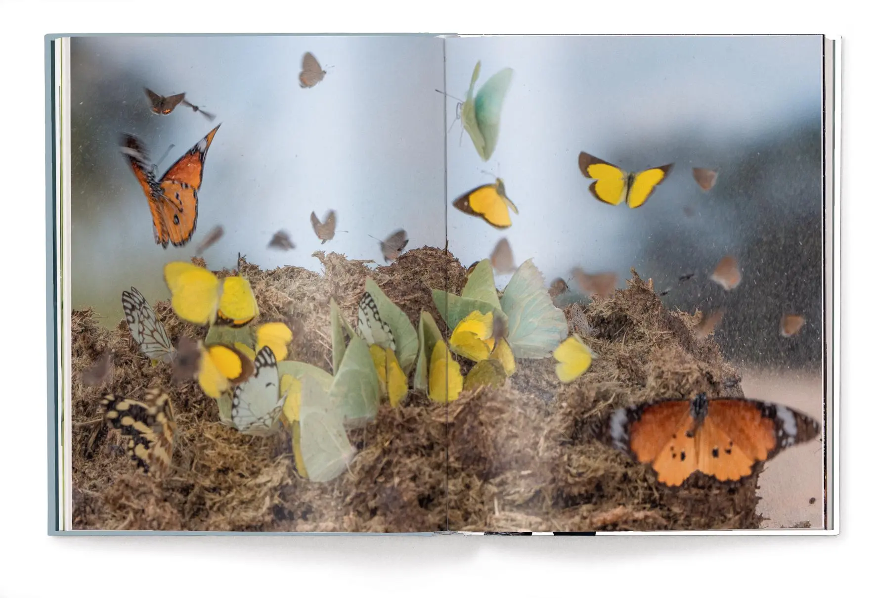 Bild: 9783961715060 | Fabian Kahl | Fabian Kahl | Buch | 208 S. | Deutsch | 2023