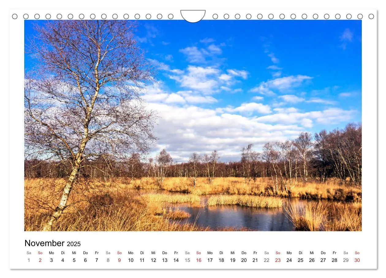 Bild: 9783435495160 | OSTFRIESLAND Strand und Mee(h)r (Wandkalender 2025 DIN A4 quer),...