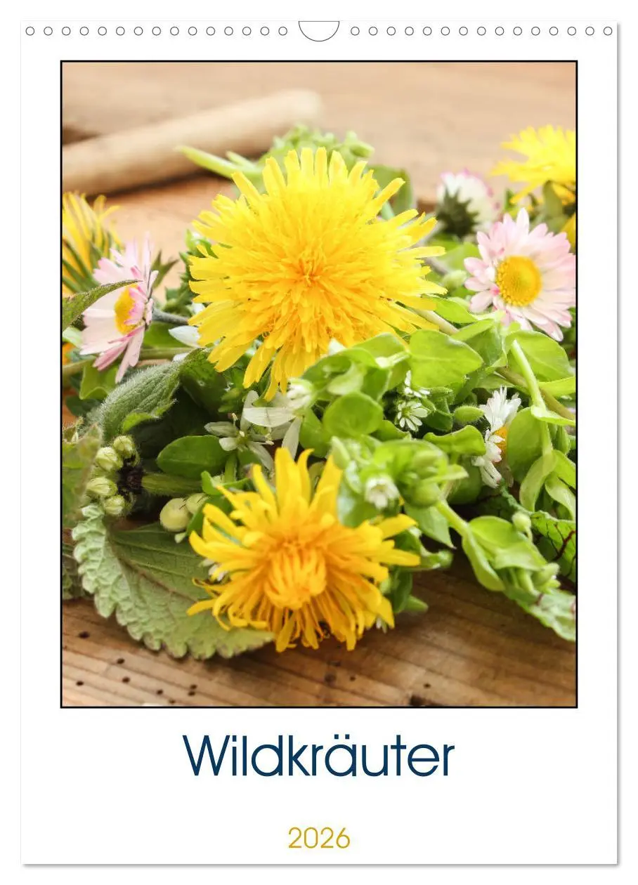 Cover: 9783516365160 | Essbare Wildkräuter (Wandkalender 2026 DIN A3 hoch), CALVENDO...