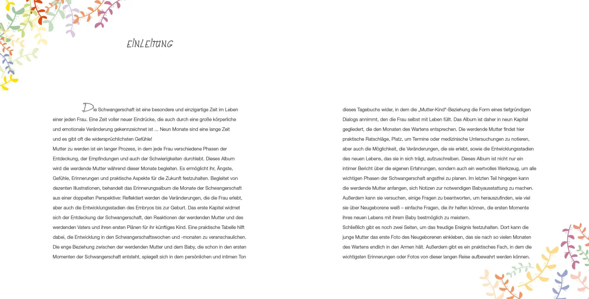 Bild: 9788863125160 | Meine Schwangerschaft | Das Tagebuch für 9 einzigartige Monate | Buch