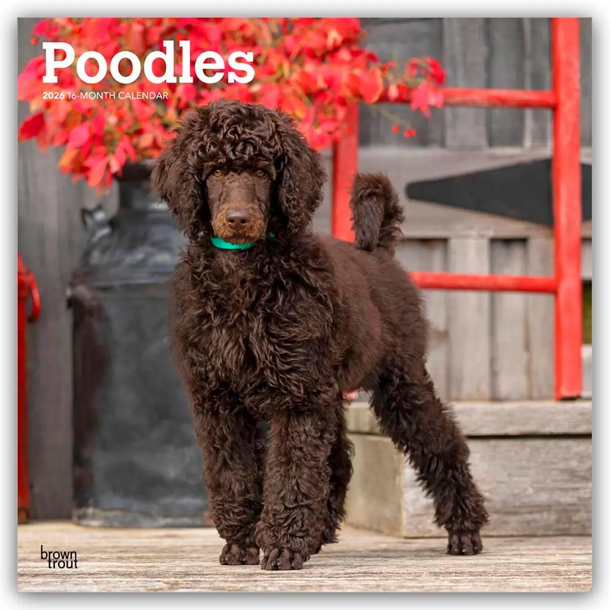 Cover: 9798330705160 | Poodles - Pudel 2026 - 16-Monatskalender | Browntrout Publishers