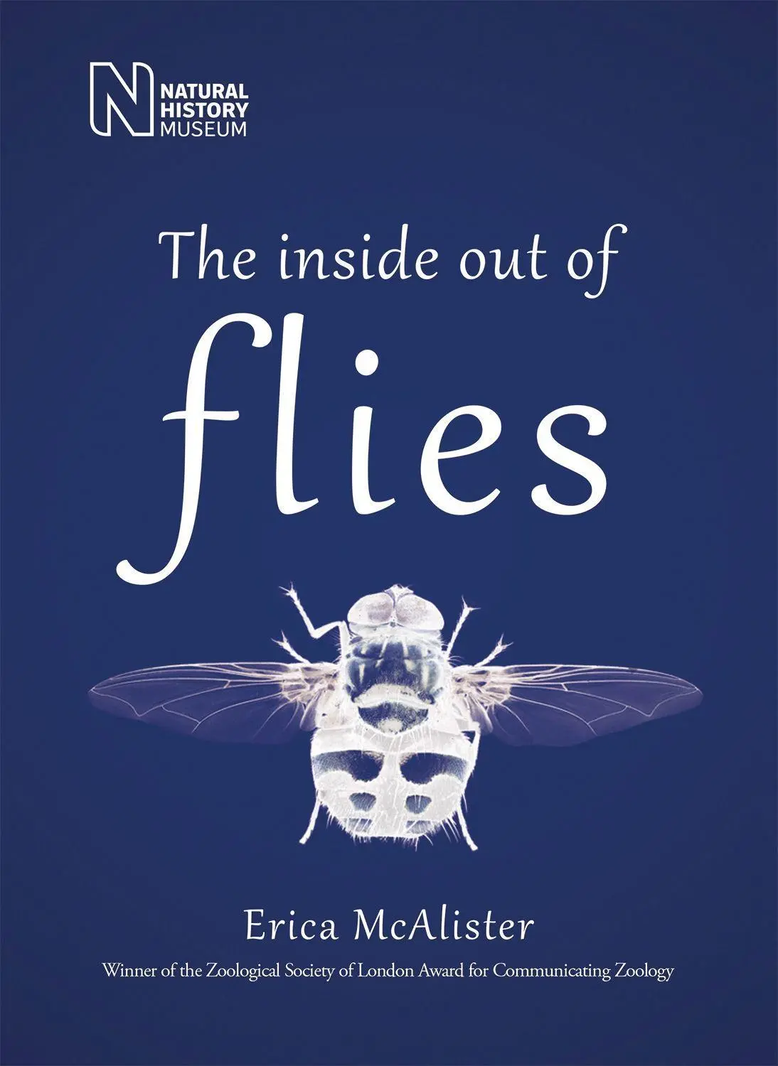 Cover: 9780565095260 | The Inside Out of Flies | Erica Mcalister | Taschenbuch | Englisch