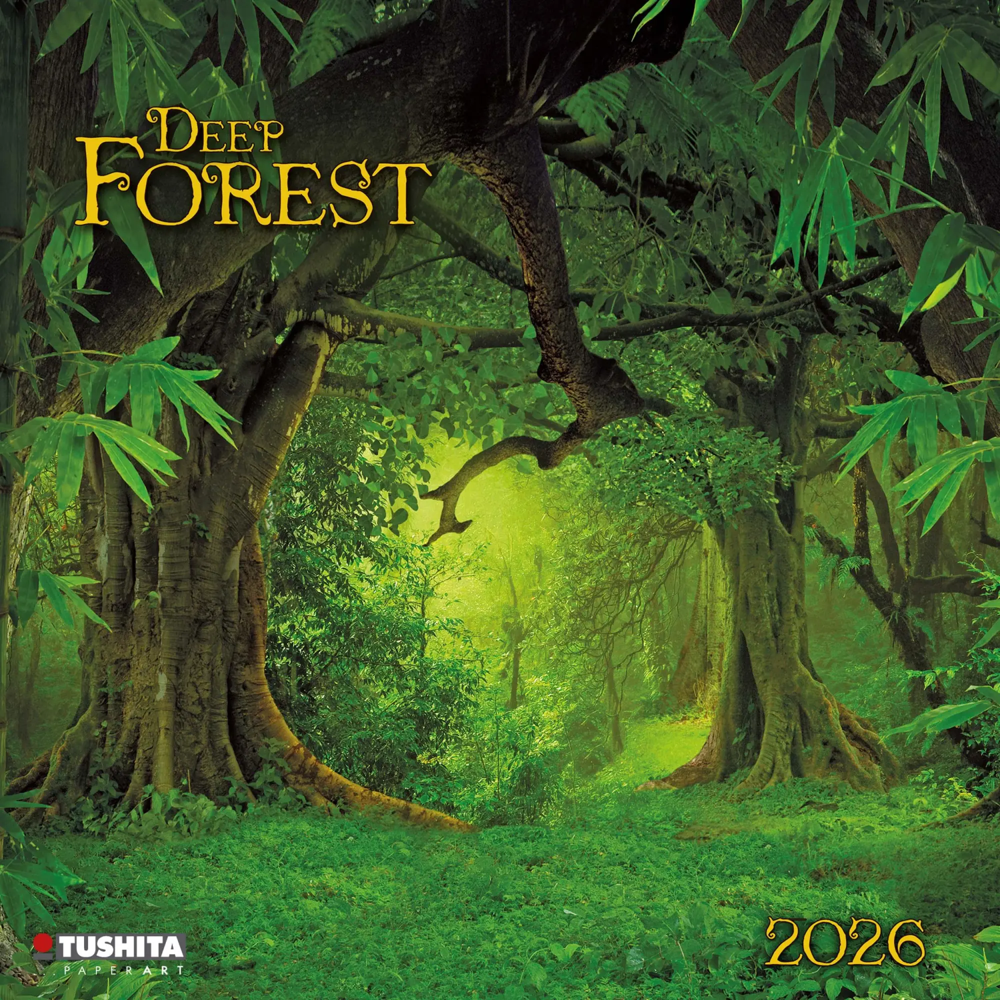 Cover: 9783959295260 | Deep Forest 2026 | Kalender 2026 | Kalender | Wonderful World | 28 S.