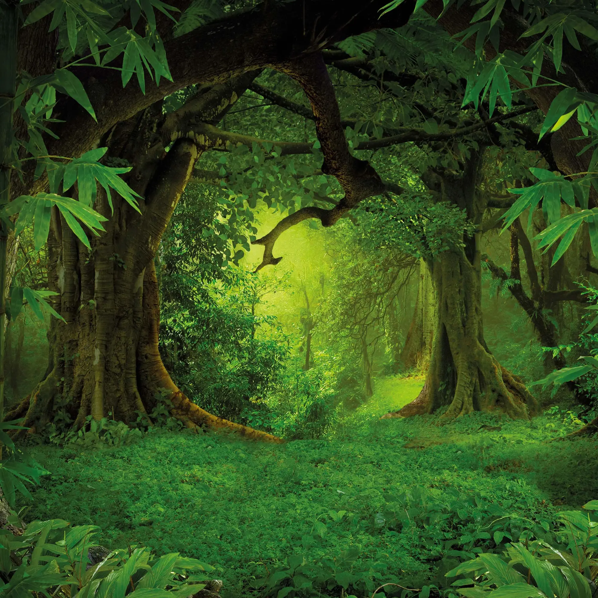 Bild: 9783959295260 | Deep Forest 2026 | Kalender 2026 | Kalender | Wonderful World | 28 S.