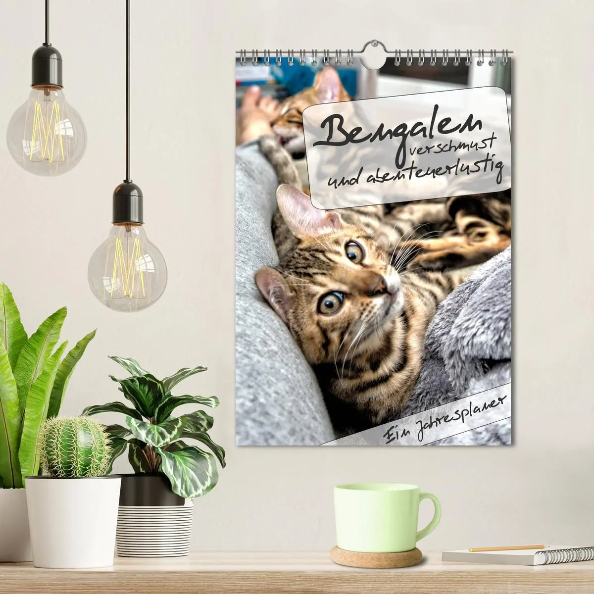 Bild: 9783516415360 | Bengalen - verschmust und abenteuerlustig (Wandkalender 2026 DIN A4...