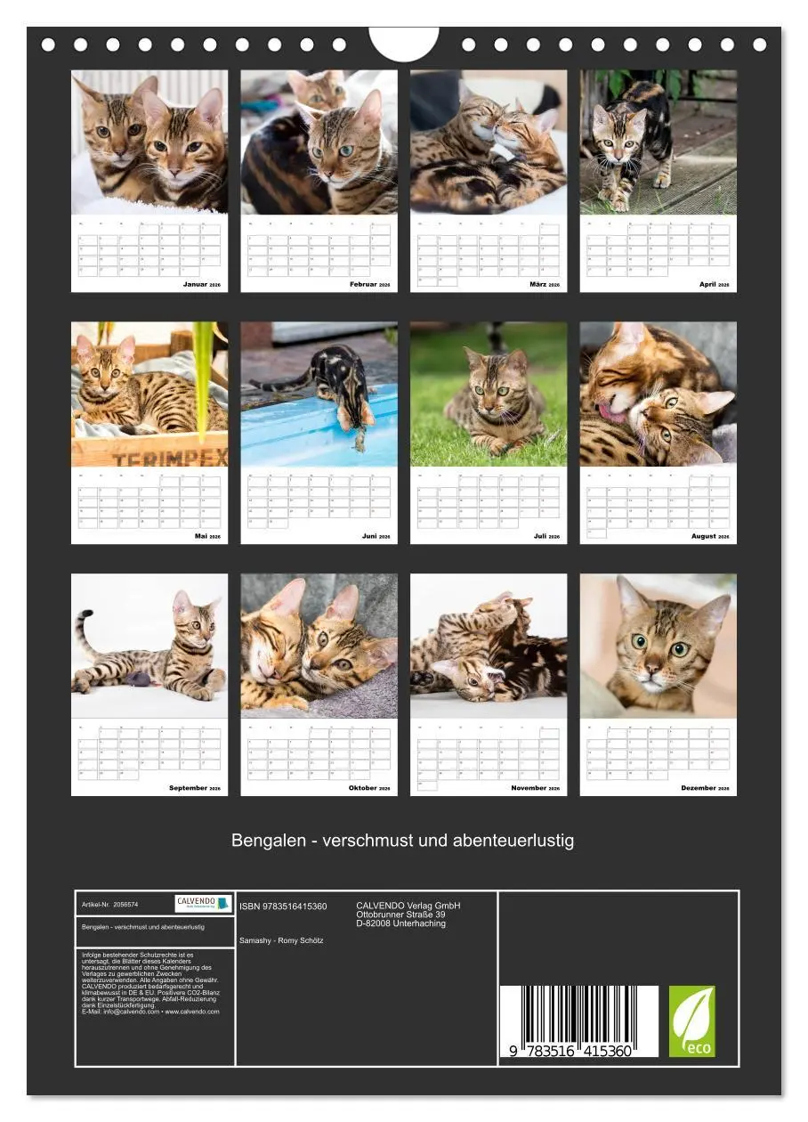 Bild: 9783516415360 | Bengalen - verschmust und abenteuerlustig (Wandkalender 2026 DIN A4...