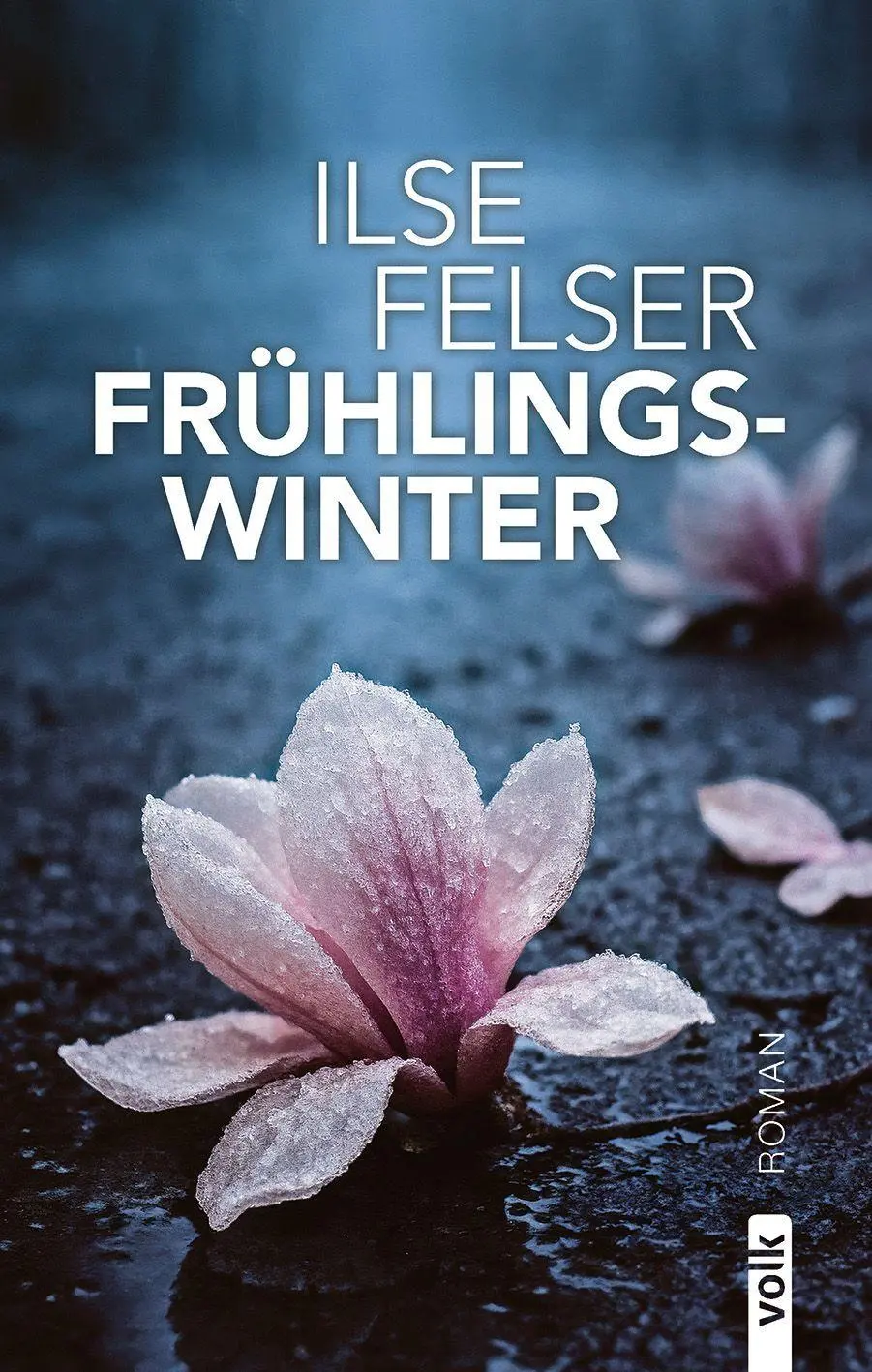 Cover: 9783862225460 | Frühlingswinter | Roman | Ilse Felser | Buch | 672 S. | Deutsch | 2026