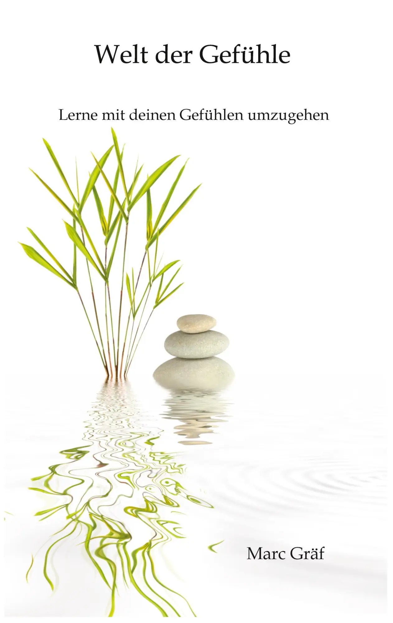 Cover: 9783347895560 | Welt der Gefühle | Lerne mit deinen Gefühlen umzugehen | Marc Gräf