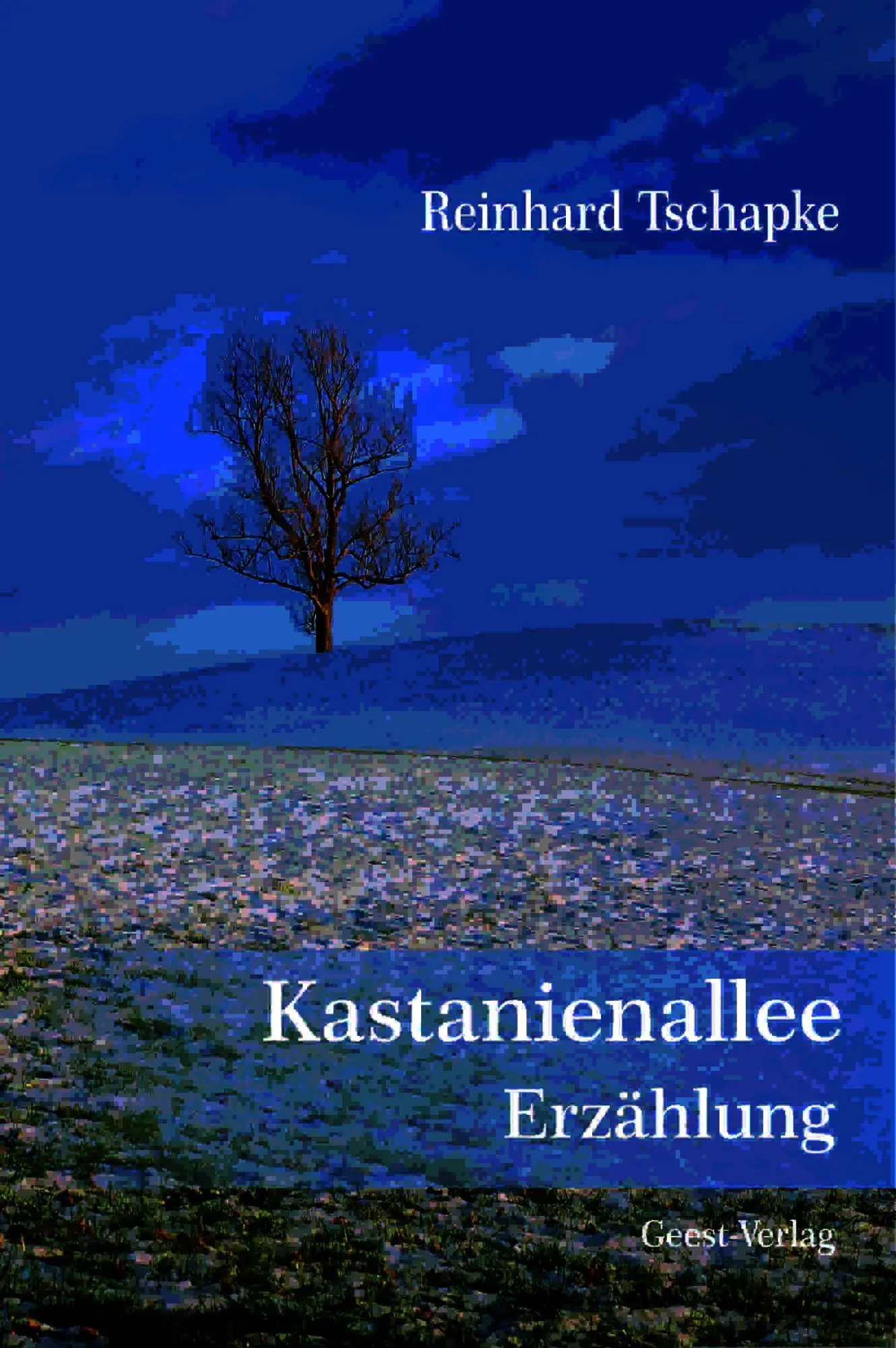Cover: 9783690645560 | Kastanienallee | Erzählung | Reinhard Tschapke | Taschenbuch | 286 S.