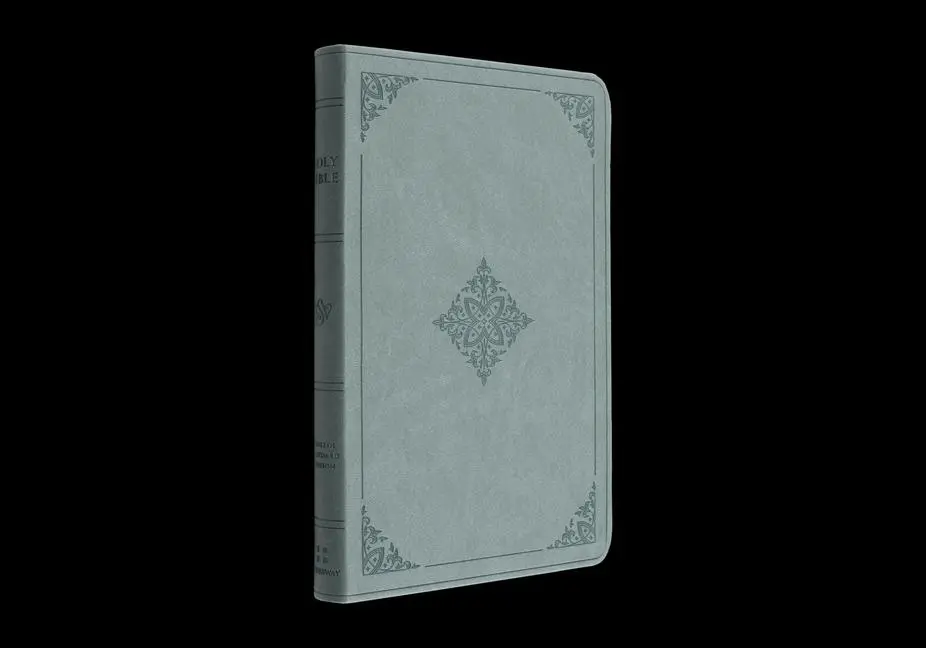 Cover: 9781433595660 | ESV Value Thinline Bible (Trutone, Paris Sky, Fleur-De-Lis Design) | .