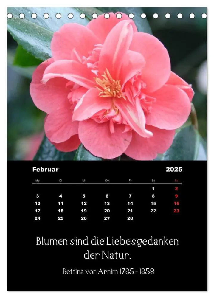Bild: 9783457085660 | Sprüche und Zitate berühmter Personen über Blumen und Natur...