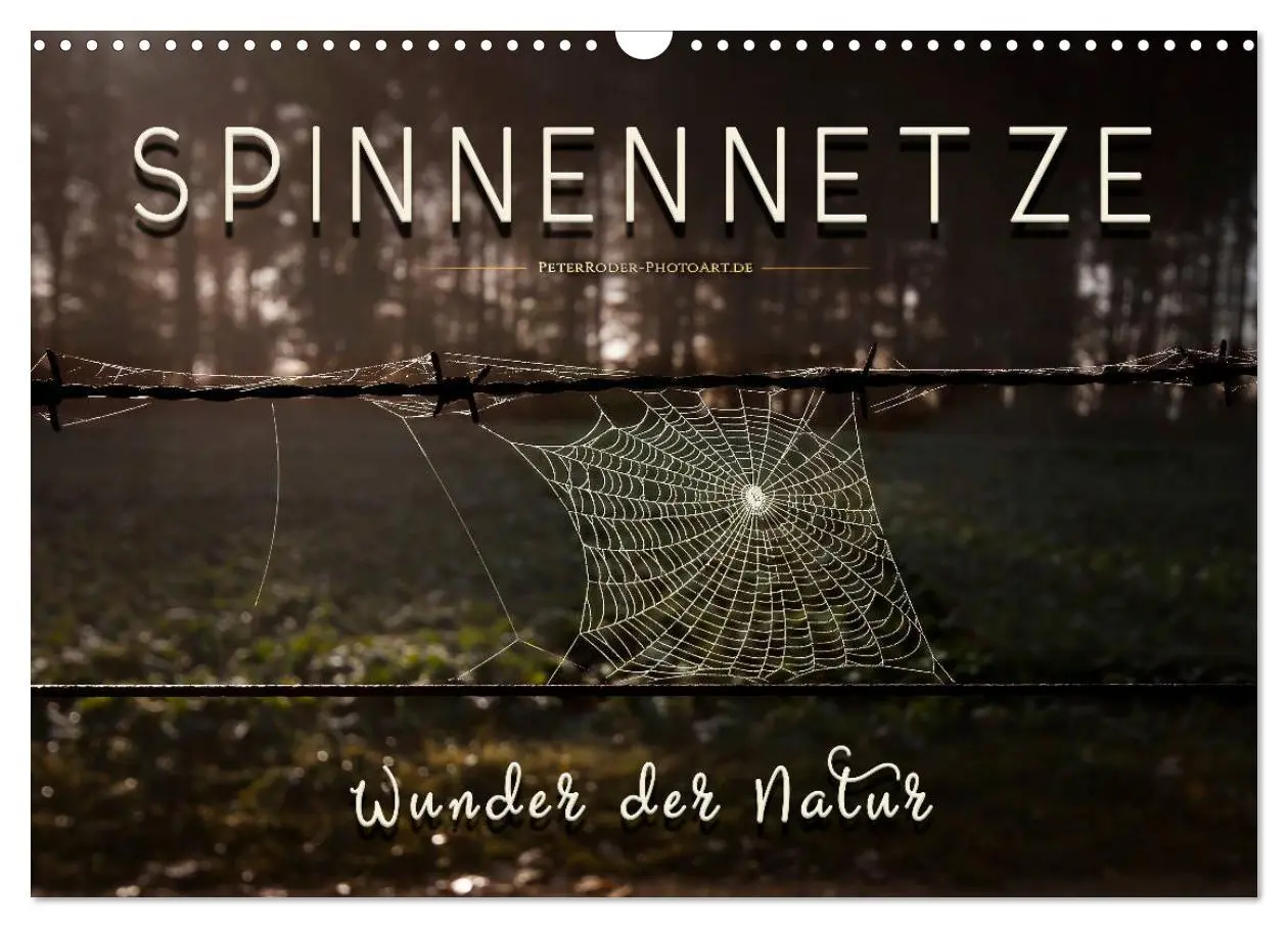 Cover: 9783457845660 | Spinnennetze - Wunder der Natur (Wandkalender 2026 DIN A3 quer),...