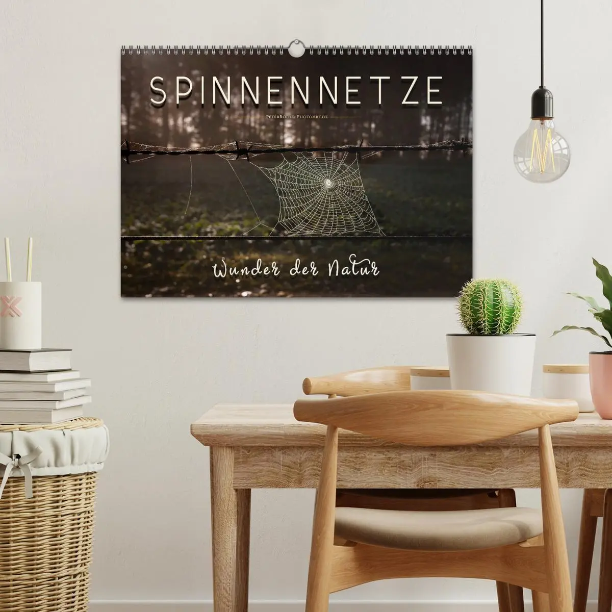 Bild: 9783457845660 | Spinnennetze - Wunder der Natur (Wandkalender 2026 DIN A3 quer),...
