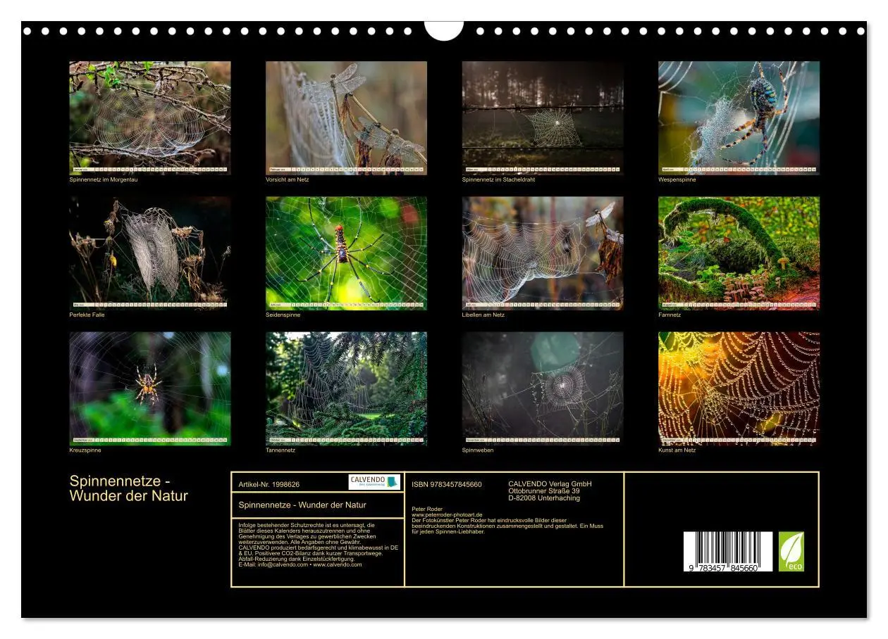 Bild: 9783457845660 | Spinnennetze - Wunder der Natur (Wandkalender 2026 DIN A3 quer),...