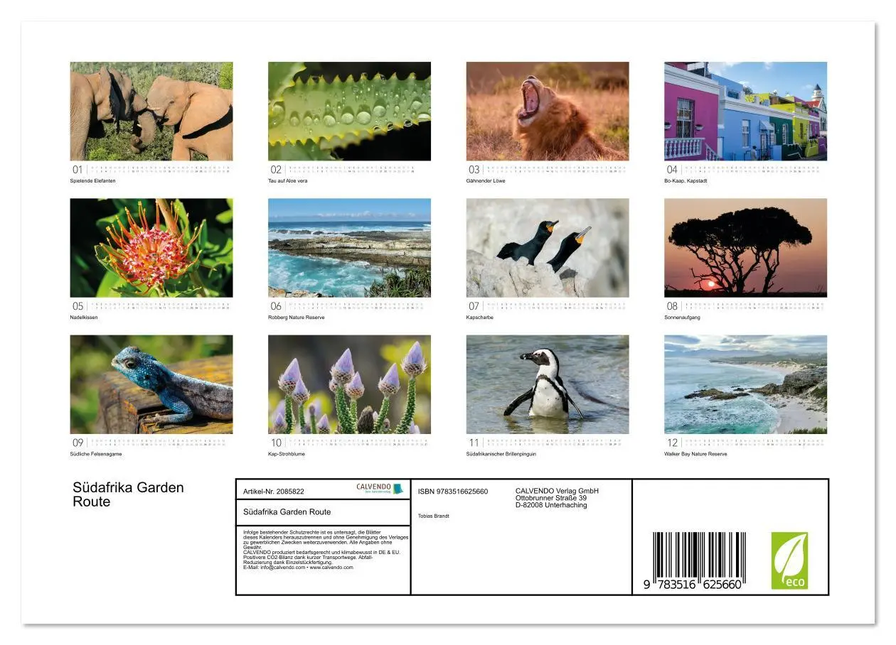 Bild: 9783516625660 | Südafrika Garden Route (Wandkalender 2026 DIN A4 quer), CALVENDO...