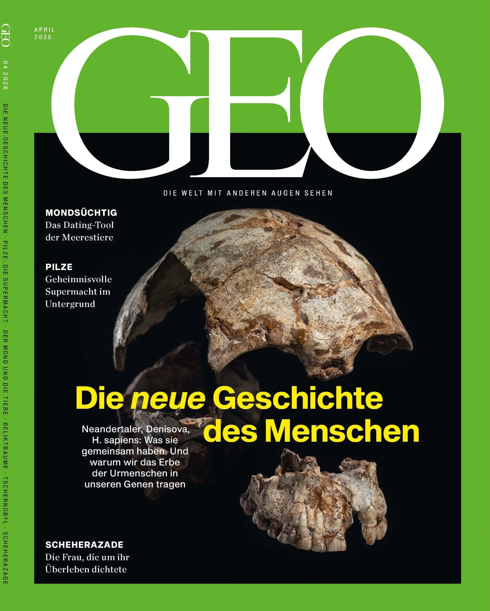 Cover: 9783652015660 | GEO 04/2026 - Die neue Geschichte des Menschen | Schaefer (u. a.)