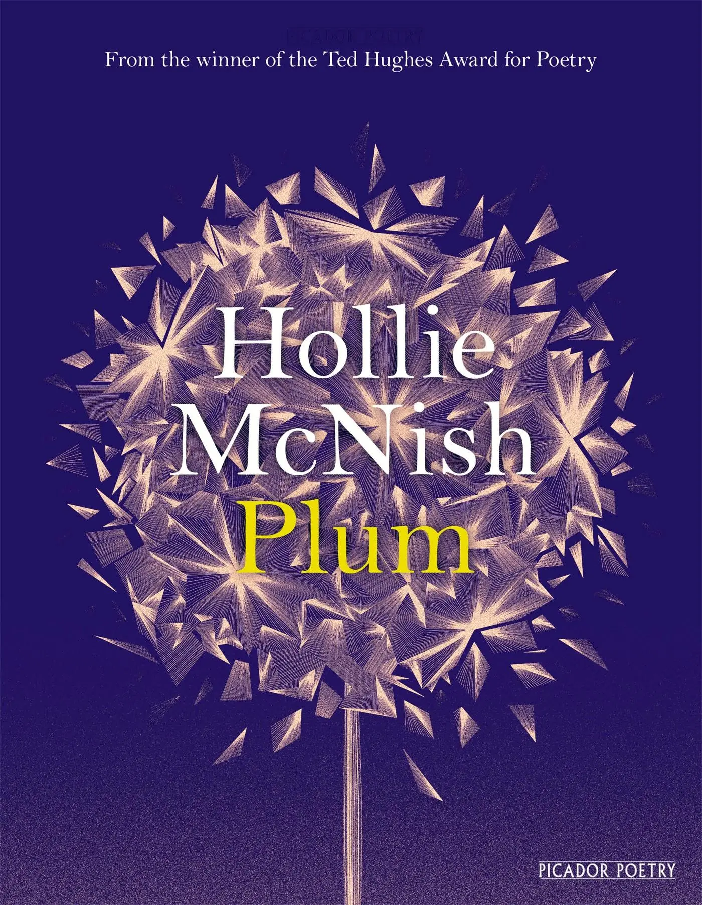 Cover: 9781509815760 | Plum | Hollie Mcnish | Taschenbuch | Kartoniert / Broschiert | 2017