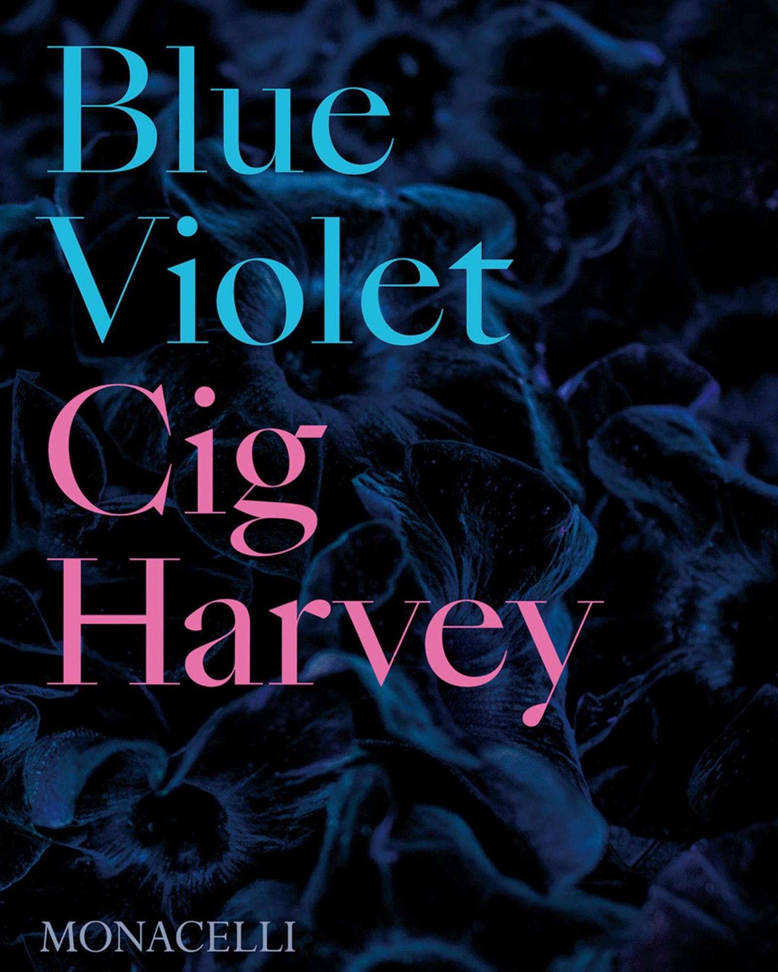 Cover: 9781580935760 | Blue Violet | Cig Harvey | Buch | Gebunden | Englisch | 2021