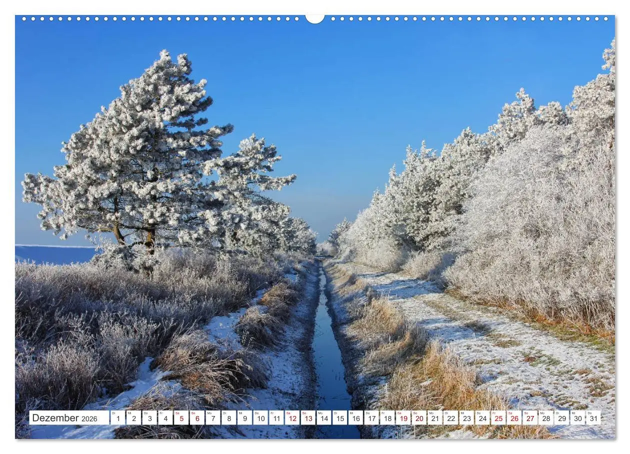 Bild: 9783457905760 | ST. PETER ORDING Strand und Meer (Wandkalender 2026 DIN A2 quer),...