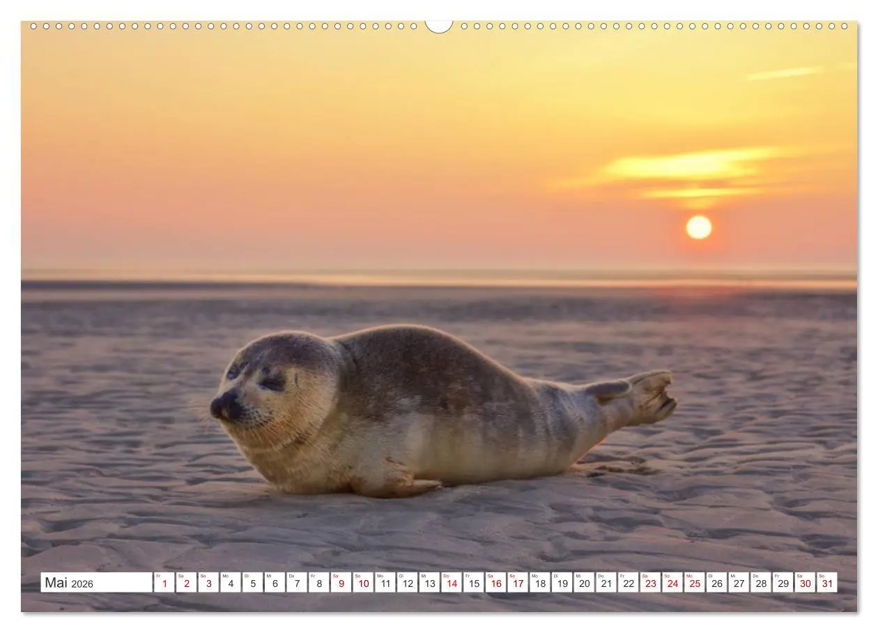 Bild: 9783457905760 | ST. PETER ORDING Strand und Meer (Wandkalender 2026 DIN A2 quer),...