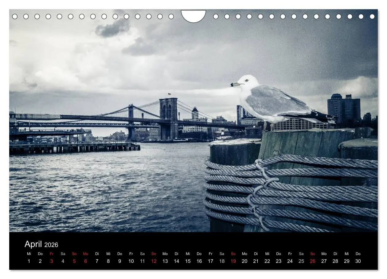 Bild: 9783516165760 | New York (Wandkalender 2026 DIN A4 quer), CALVENDO Monatskalender