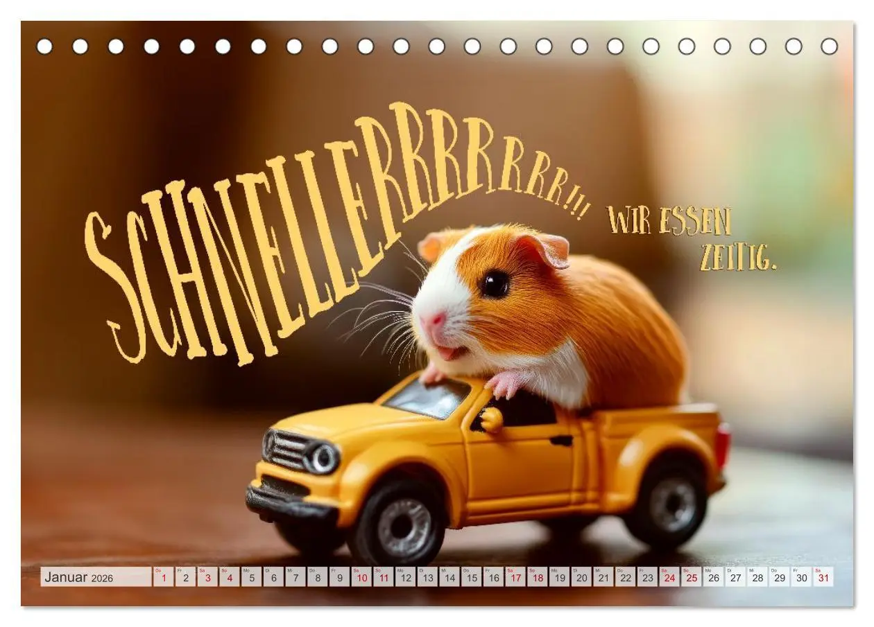Bild: 9783516235760 | Meerschweinchen LUSTIG DURCHS JAHR (Tischkalender 2026 DIN A5...