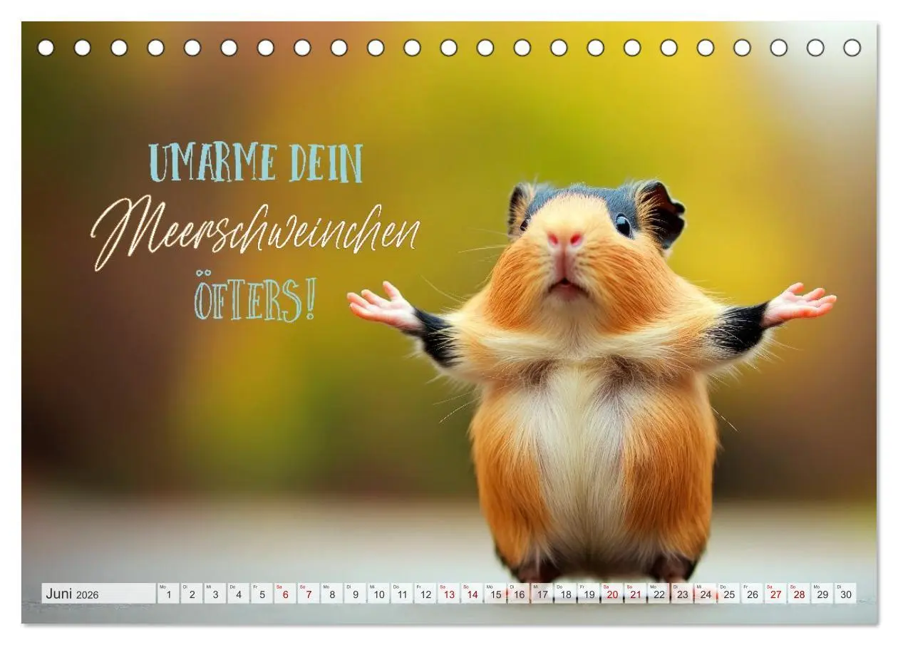 Bild: 9783516235760 | Meerschweinchen LUSTIG DURCHS JAHR (Tischkalender 2026 DIN A5...