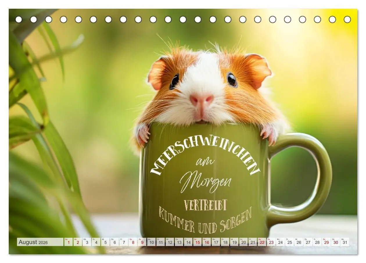 Bild: 9783516235760 | Meerschweinchen LUSTIG DURCHS JAHR (Tischkalender 2026 DIN A5...