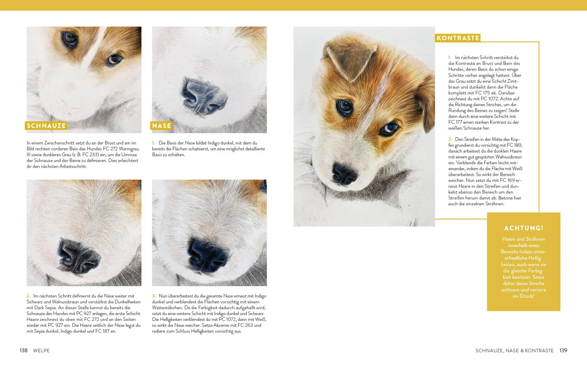Bild: 9783745925760 | Zeichnen - Das große Buch der Tierporträts | Susanne Boehmer-Hoops
