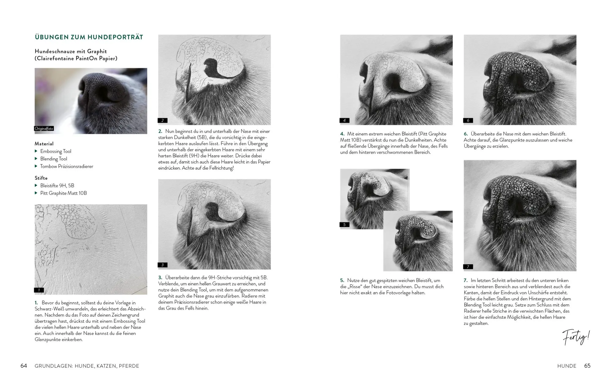 Bild: 9783745925760 | Zeichnen - Das große Buch der Tierporträts | Susanne Boehmer-Hoops