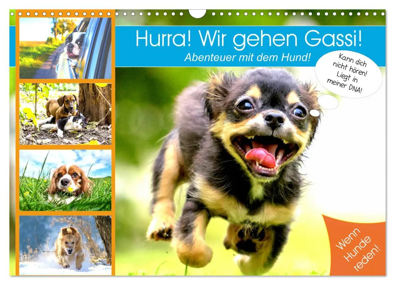 Cover: 9783457755860 | Hurra! Wir gehen Gassi! Abenteuer mit dem Hund! (Wandkalender 2026...