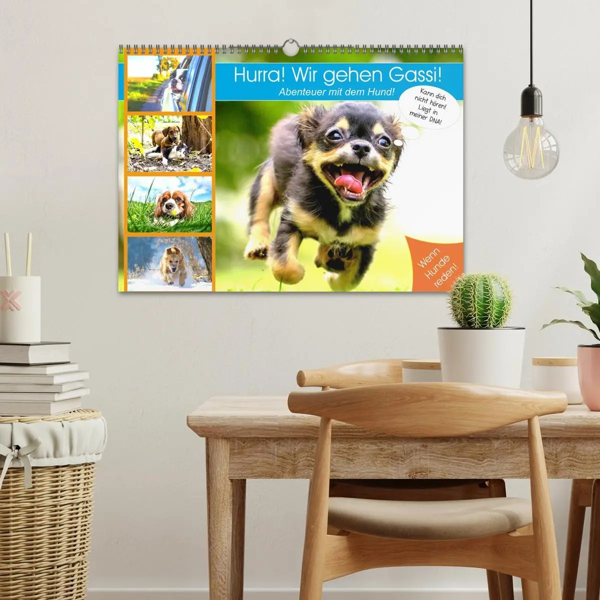 Bild: 9783457755860 | Hurra! Wir gehen Gassi! Abenteuer mit dem Hund! (Wandkalender 2026...