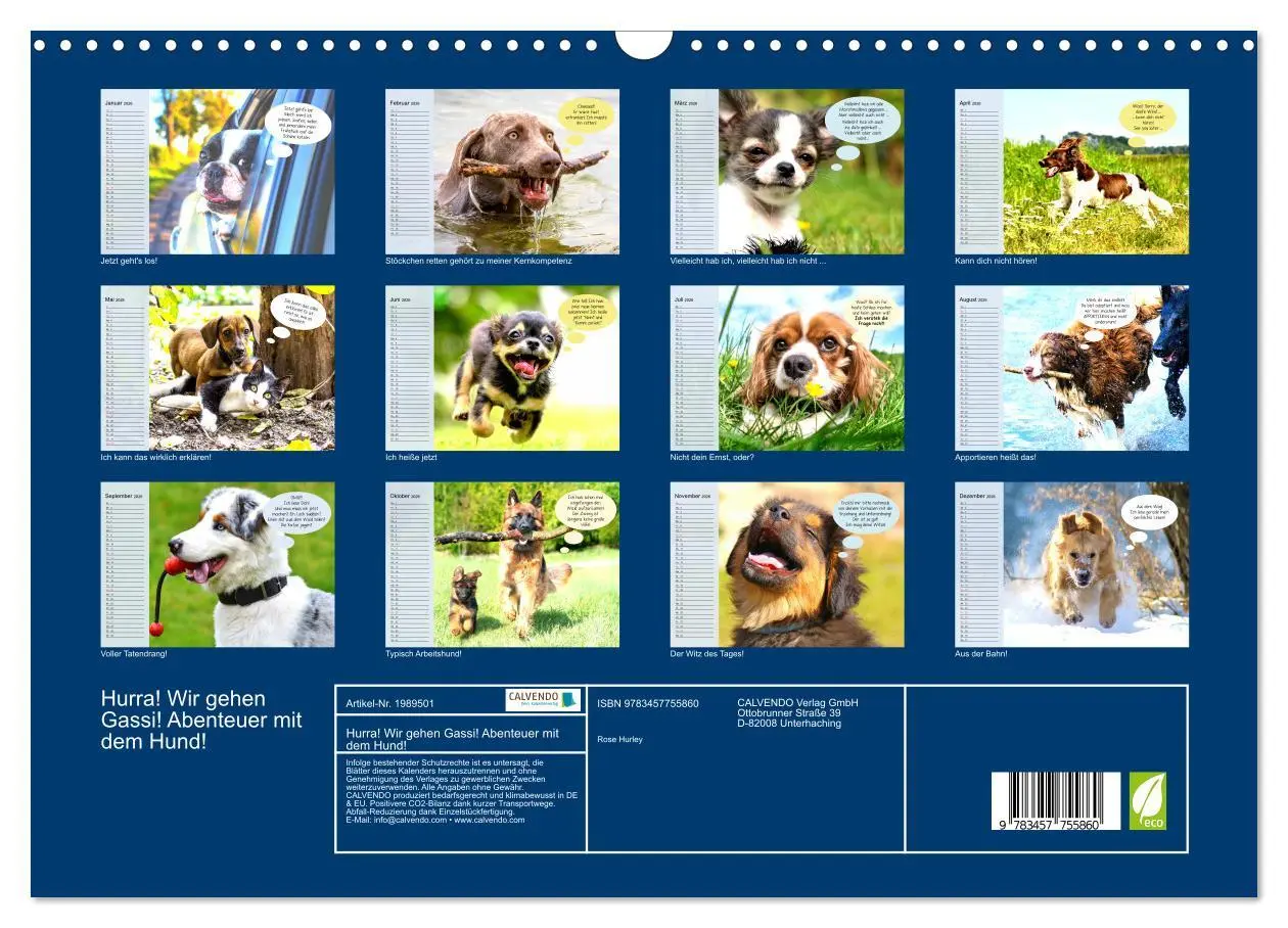 Bild: 9783457755860 | Hurra! Wir gehen Gassi! Abenteuer mit dem Hund! (Wandkalender 2026...