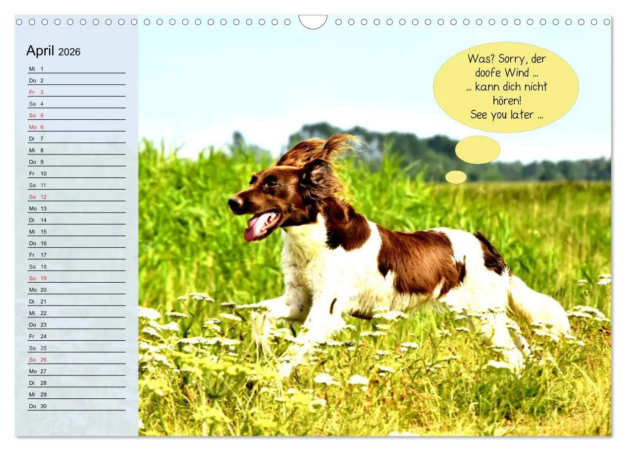 Bild: 9783457755860 | Hurra! Wir gehen Gassi! Abenteuer mit dem Hund! (Wandkalender 2026...