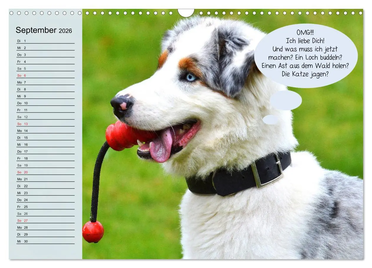 Bild: 9783457755860 | Hurra! Wir gehen Gassi! Abenteuer mit dem Hund! (Wandkalender 2026...