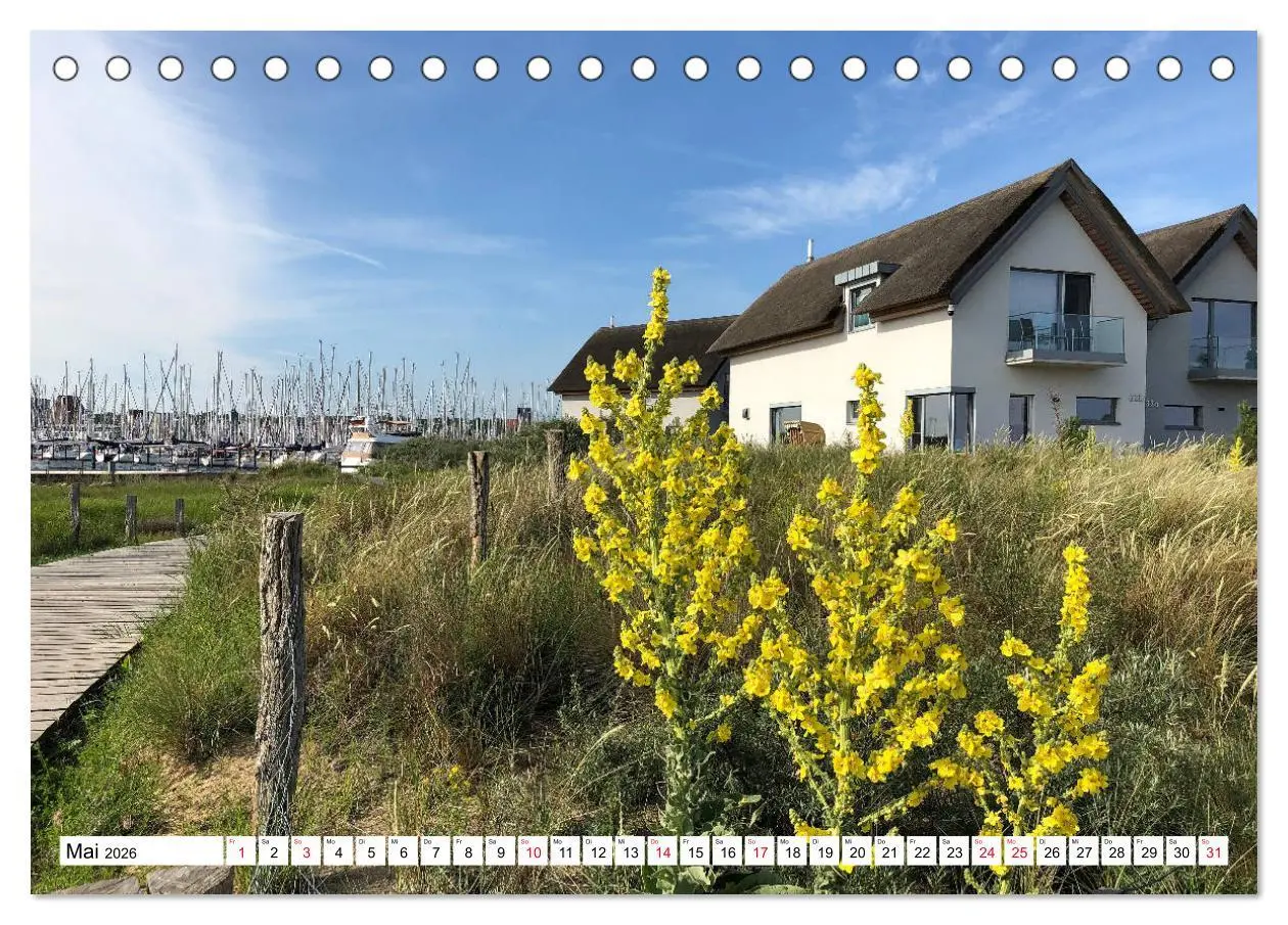 Bild: 9783457825860 | Küstenort Heiligenhafen (Tischkalender 2026 DIN A5 quer), CALVENDO...
