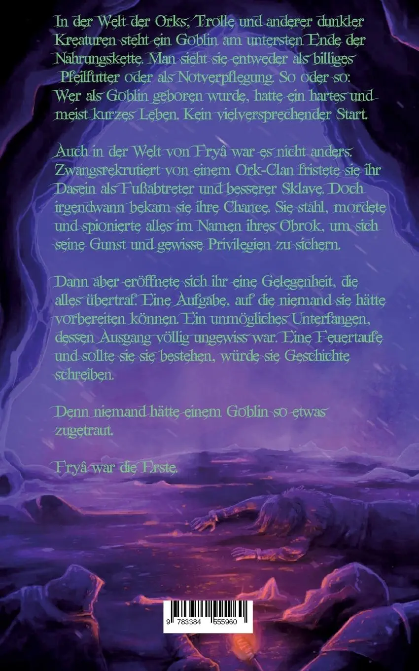 Rückseite: 9783384555960 | Feuertaufe | Der Kampf der Goblins | Daniel Daniel Woywod | Buch