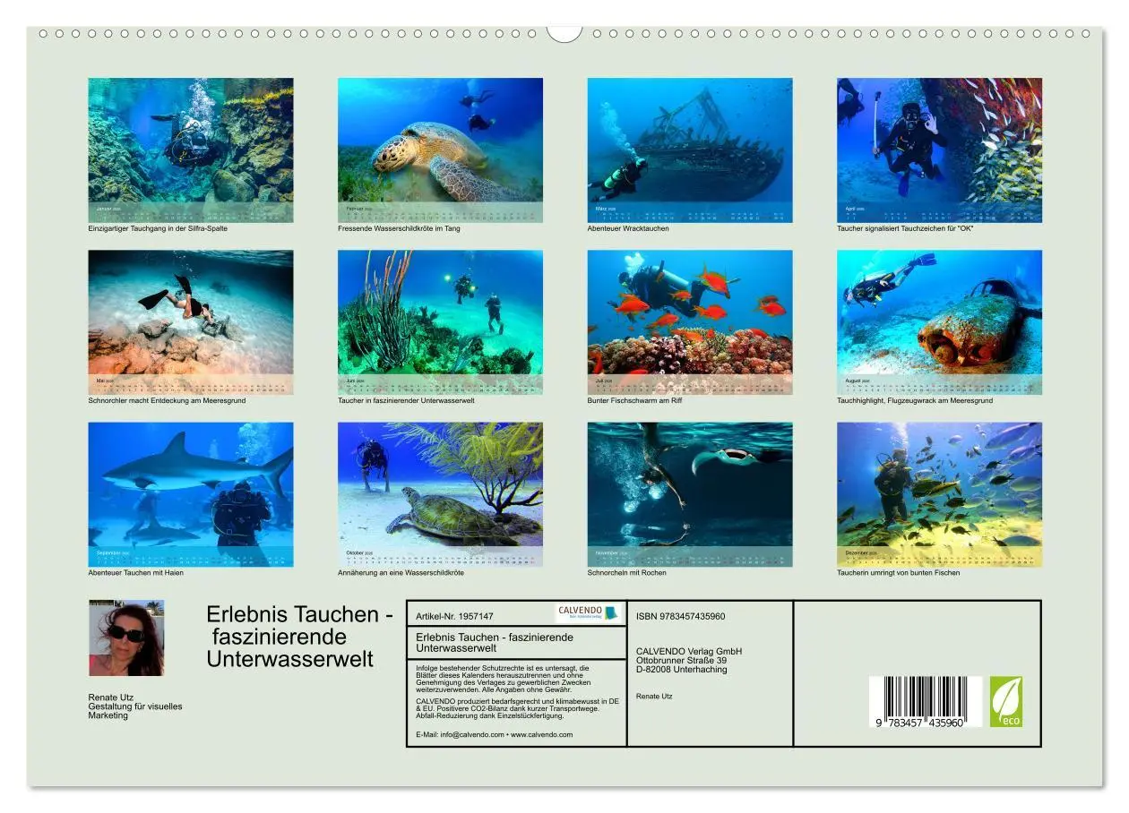 Bild: 9783457435960 | Erlebnis Tauchen - faszinierende Unterwasserwelt (hochwertiger...