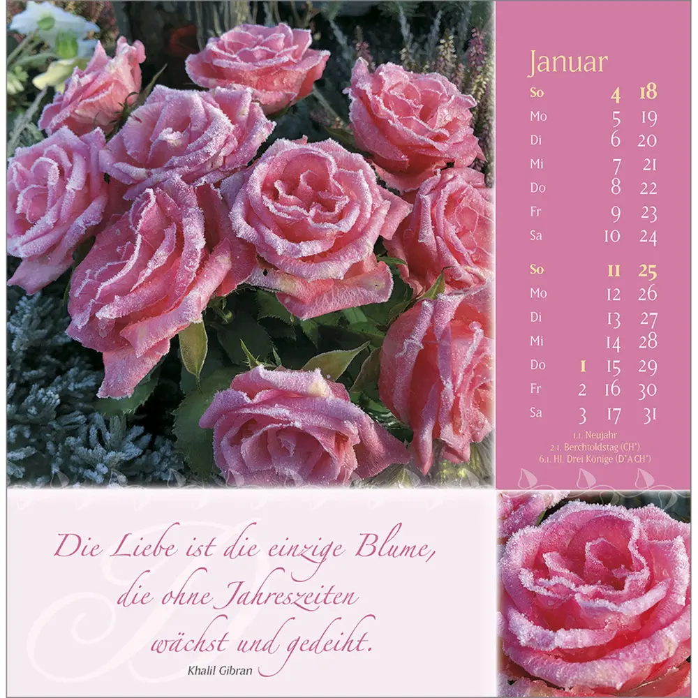 Bild: 9783754815960 | Rosenduft mit lieben Wünschen 2026 | Rosen-Postkarten-Kalender | 13 S.