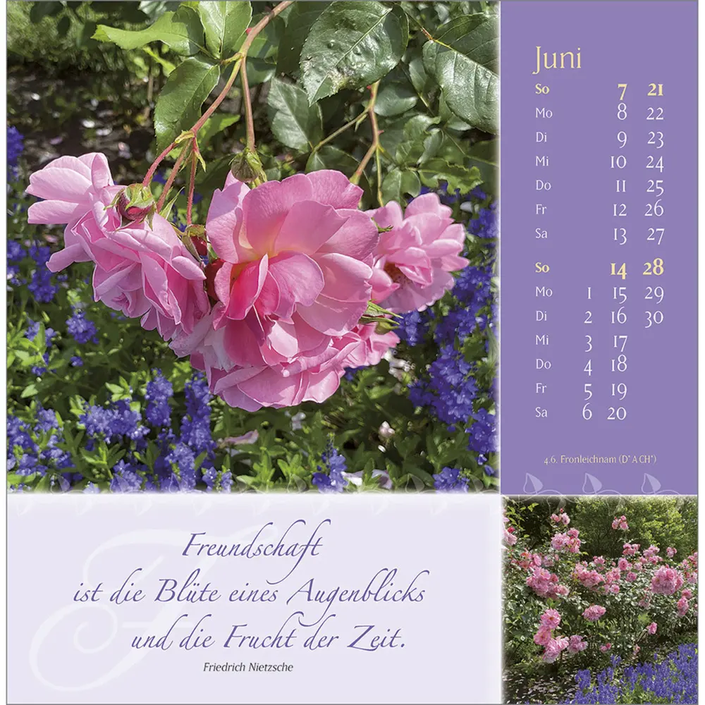 Bild: 9783754815960 | Rosenduft mit lieben Wünschen 2026 | Rosen-Postkarten-Kalender | 13 S.
