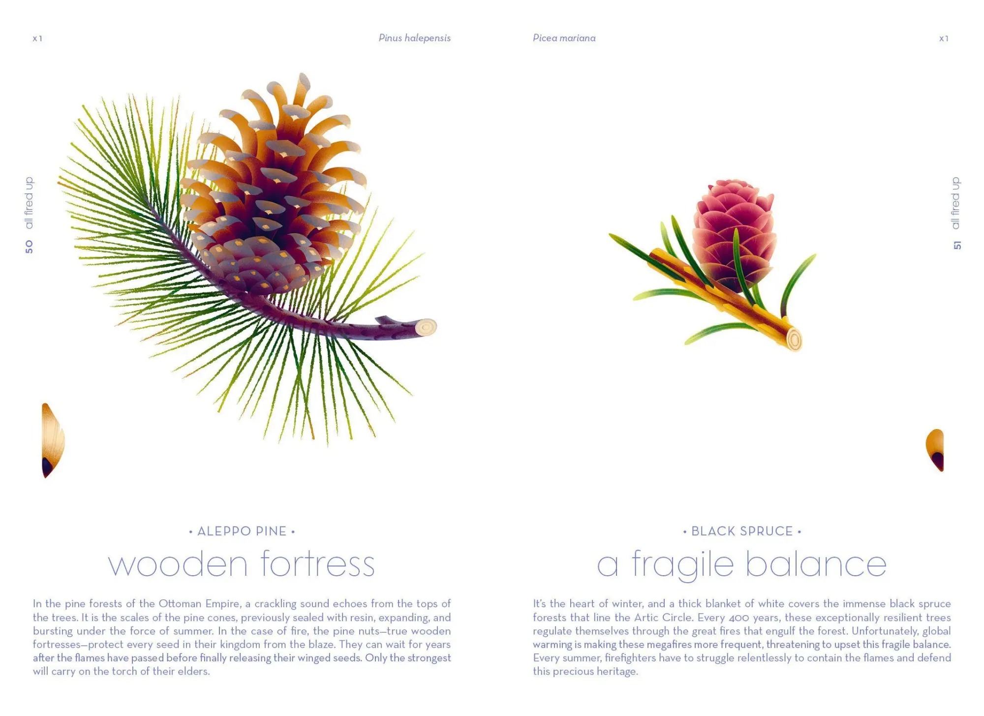 Bild: 9783791375960 | Seeds | Nature's Intrepid Miracles | Cruschiform | Buch | 152 S.